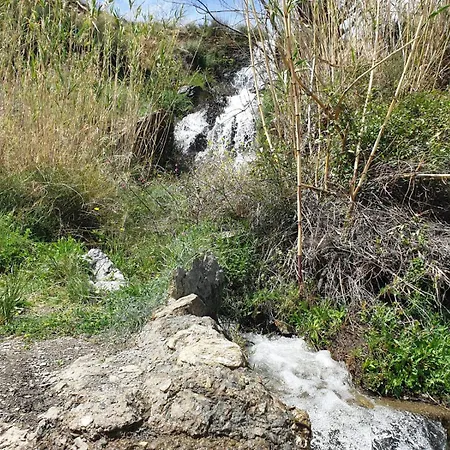Serrano